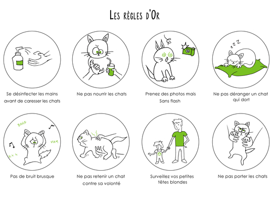 LES_REGLES_D_OR-1458063431