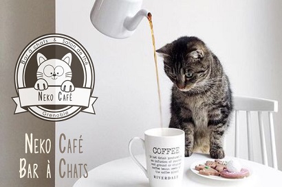 neko_cafe_grenoble_mini